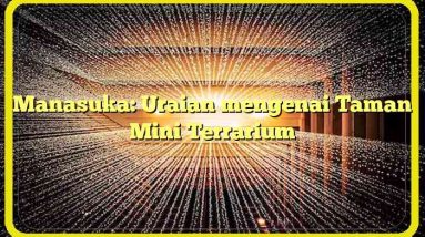 Manasuka: Uraian mengenai Taman Mini Terrarium