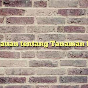 Tinjauan tentang Tanaman Hias