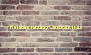 Tinjauan tentang Tanaman Hias