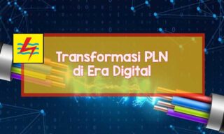 pln