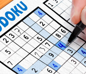game puzzle sudoku