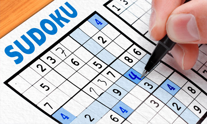 game puzzle sudoku